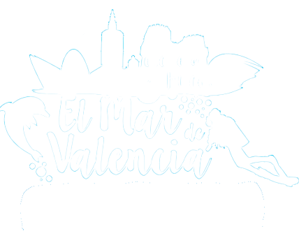 Dive Center Club el Mar de Valencia S.L.